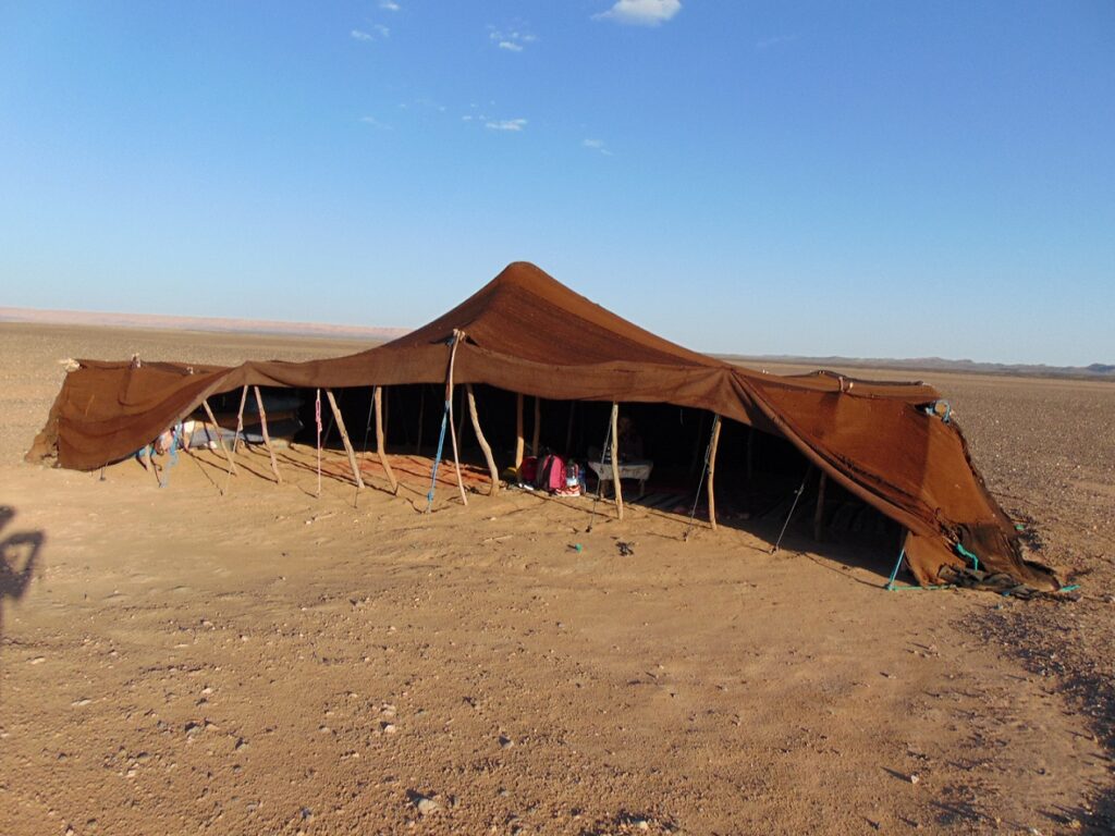 Tenda Berbera