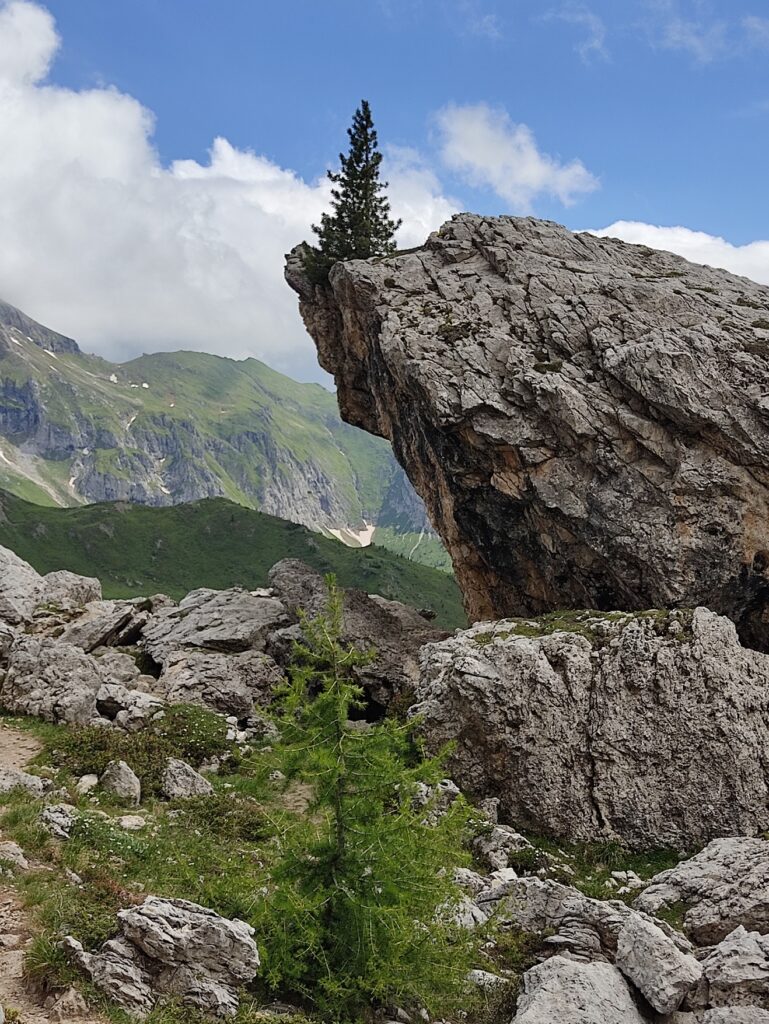 Dolomiti