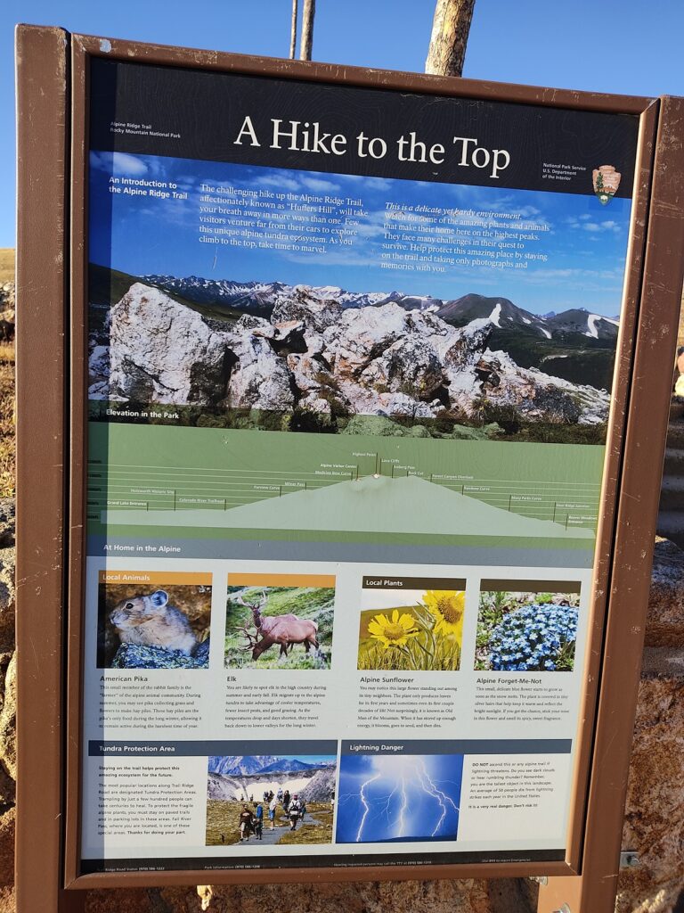 Hike to the Top